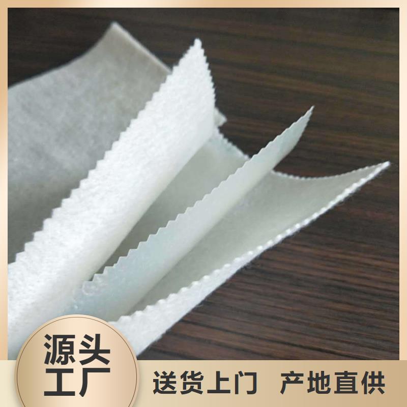 高县|屏山|雅安|甘孜|巴中|阿坝土工布_【铜片止水】货真价实-金鸿耀工程材料(宜宾市分公司)
