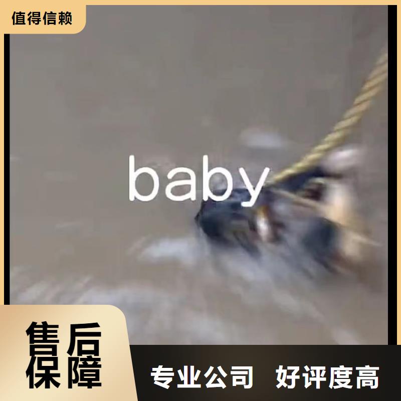 管道水下砌墻壘墻定制,管道水下砌墻壘墻采購