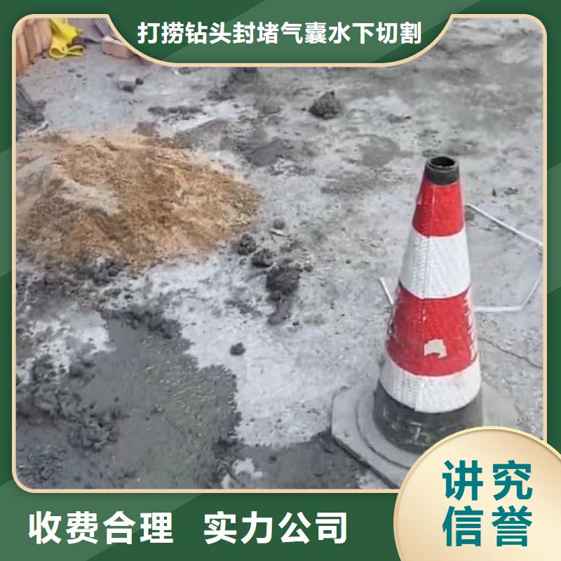 污水管道清淤封堵圍堰堵漏政管道封堵氣囊
