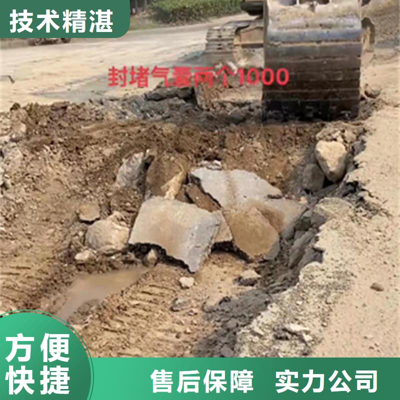 管道封堵氣囊公司