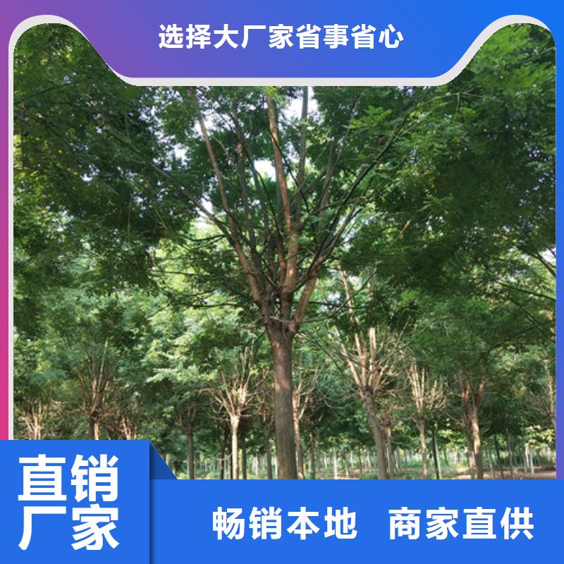法桐誠信經營現貨現發