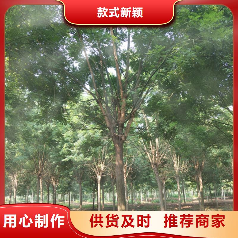 法桐炫麗海棠物美價優