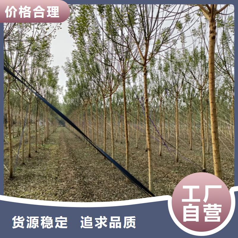 優(yōu)選：法桐品牌廠家