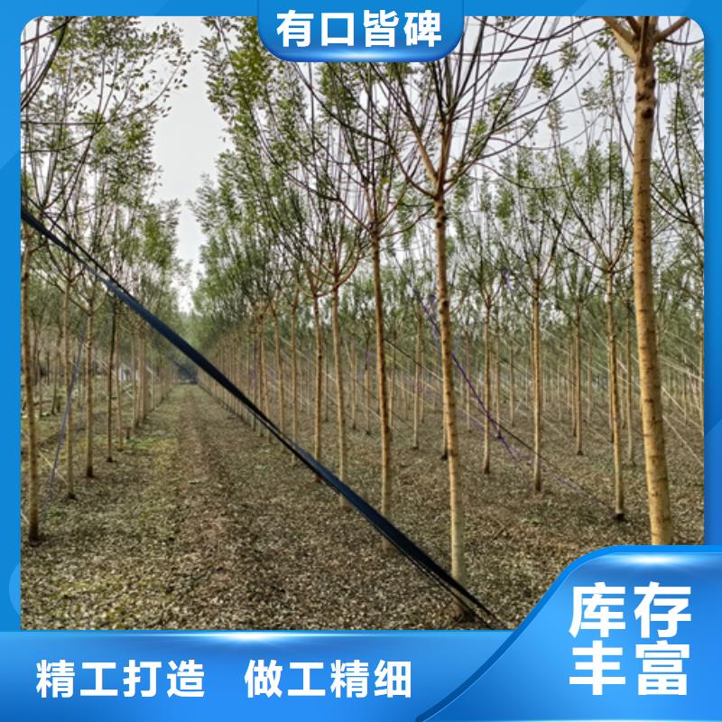 法桐黃金槐專注細節使用放心