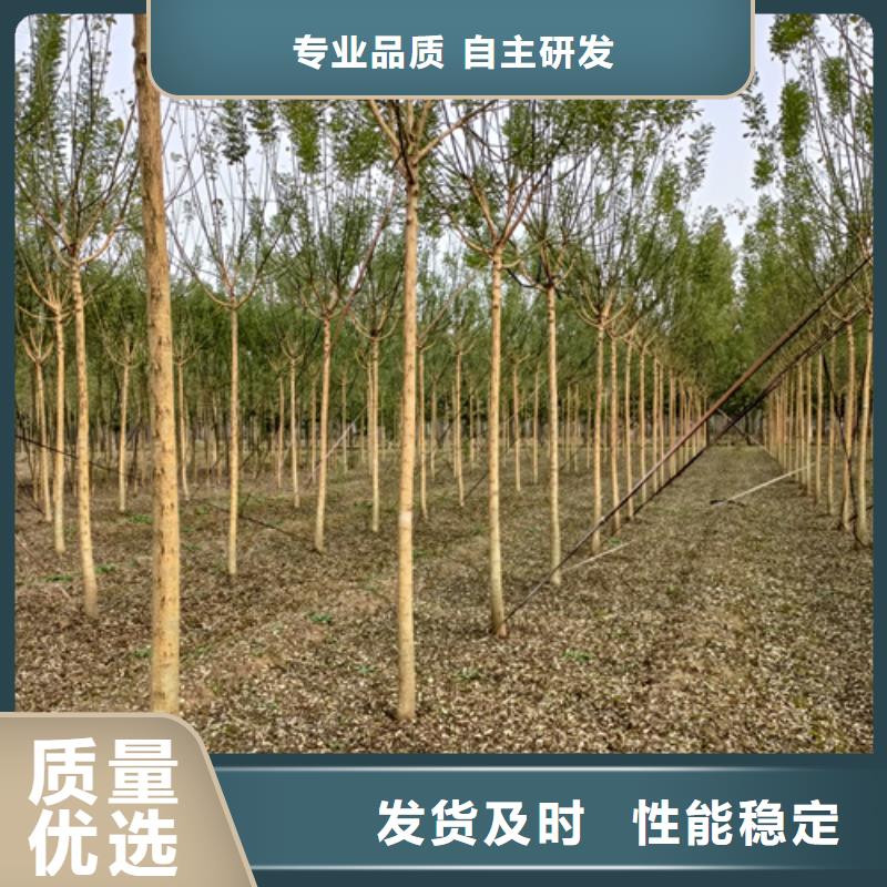 法桐誠信經營現貨現發
