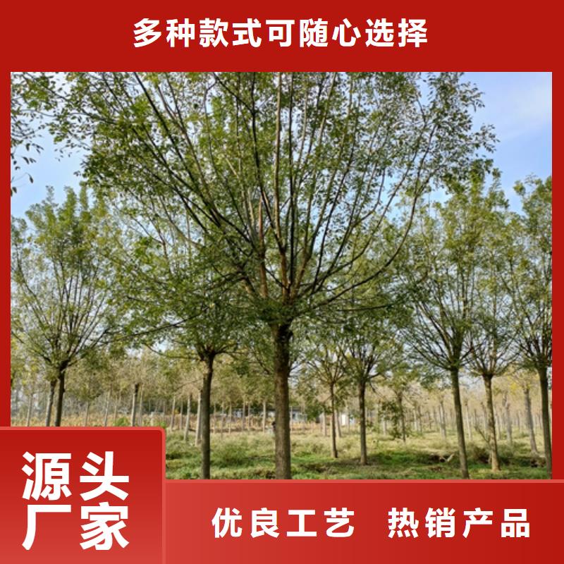 法桐來圖在線報價
