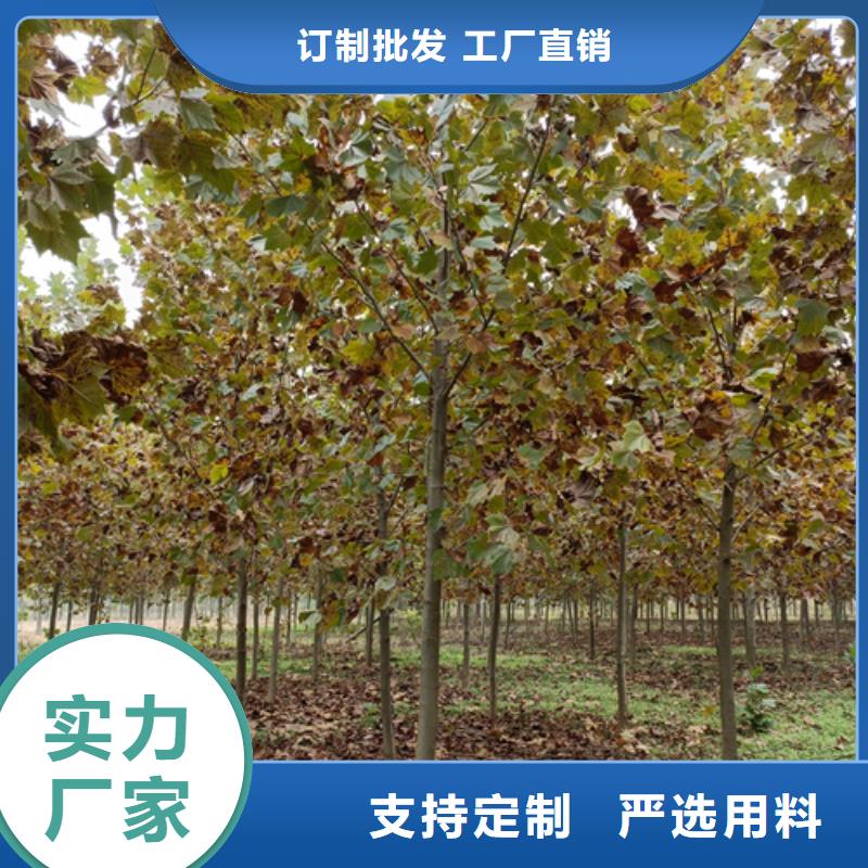 法桐誠(chéng)信經(jīng)營(yíng)現(xiàn)貨現(xiàn)發(fā)