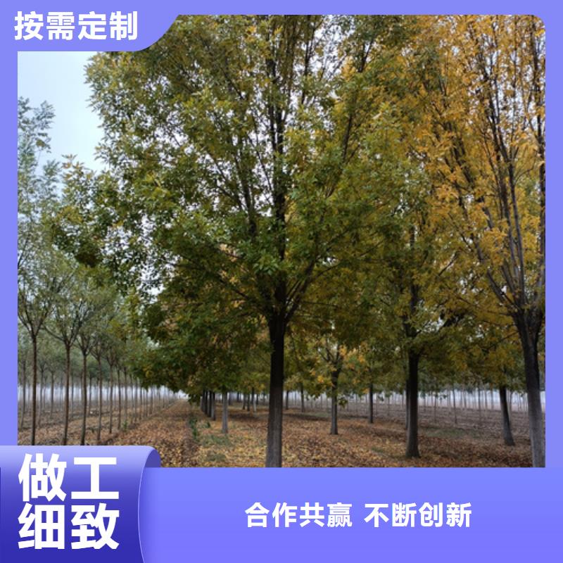 法桐誠信經營現貨現發