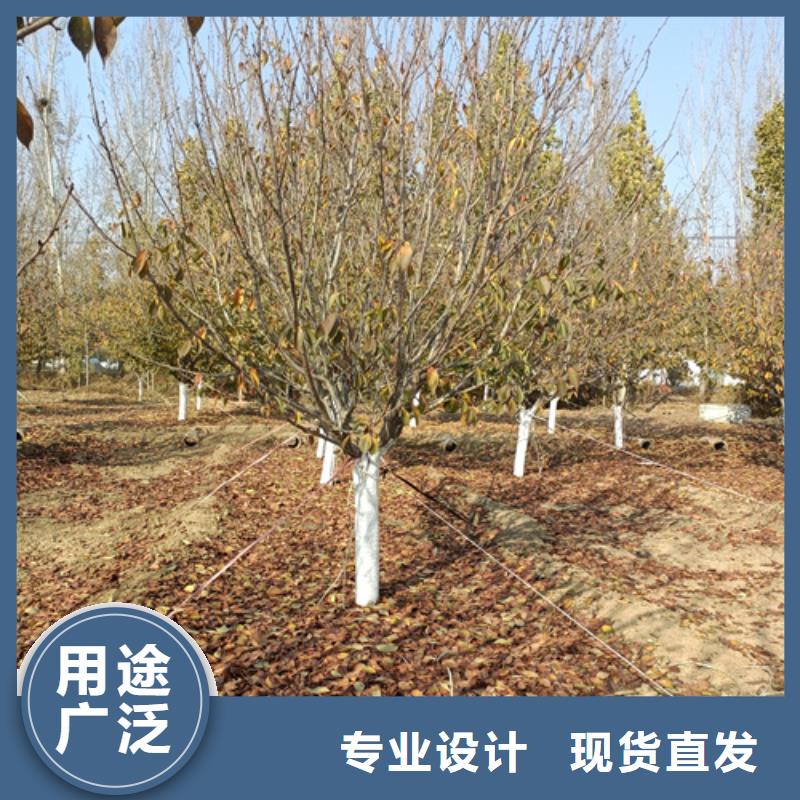 #法桐#-專業(yè)廠家