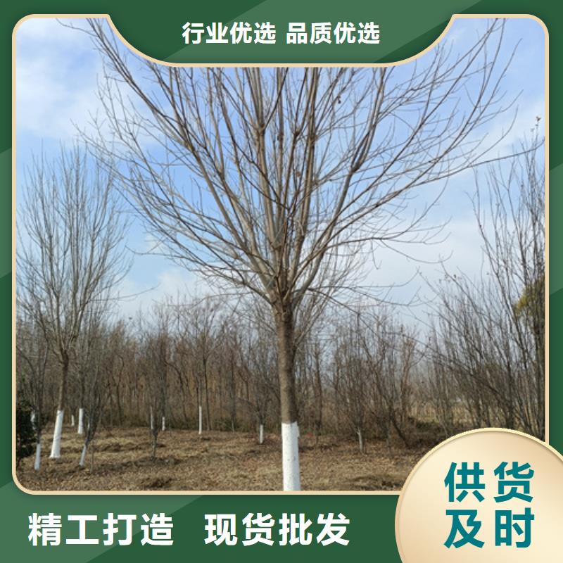 法桐好產品放心購