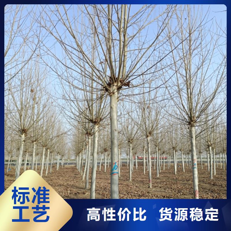 法桐好產品放心購