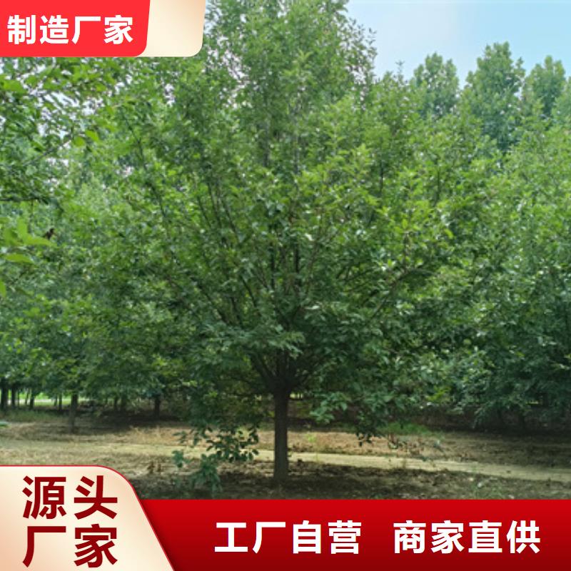法桐誠(chéng)信經(jīng)營(yíng)現(xiàn)貨現(xiàn)發(fā)