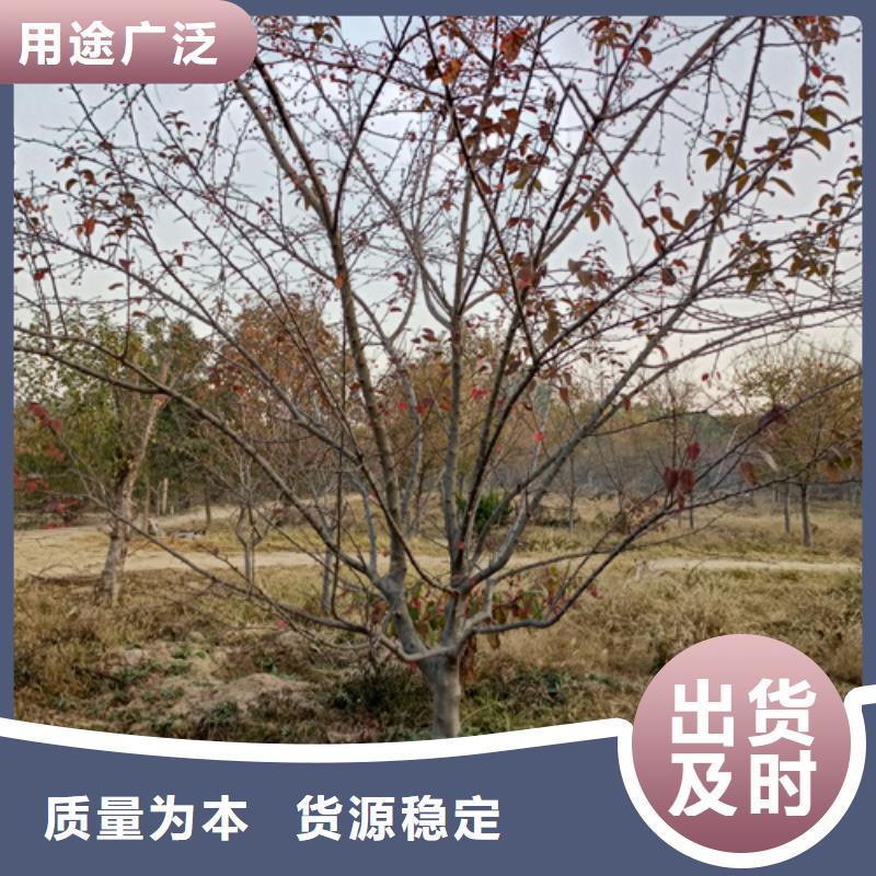 法桐物流配送