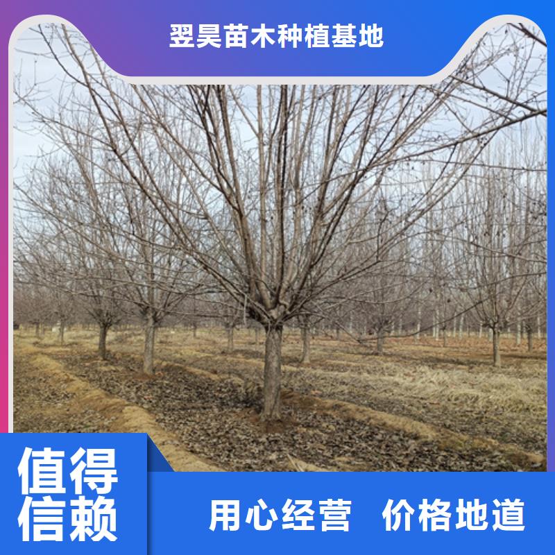 法桐費用