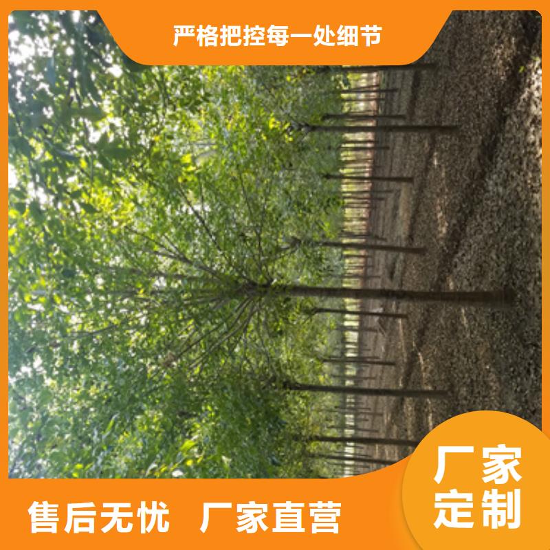 2025歡迎訪問##法桐##公司