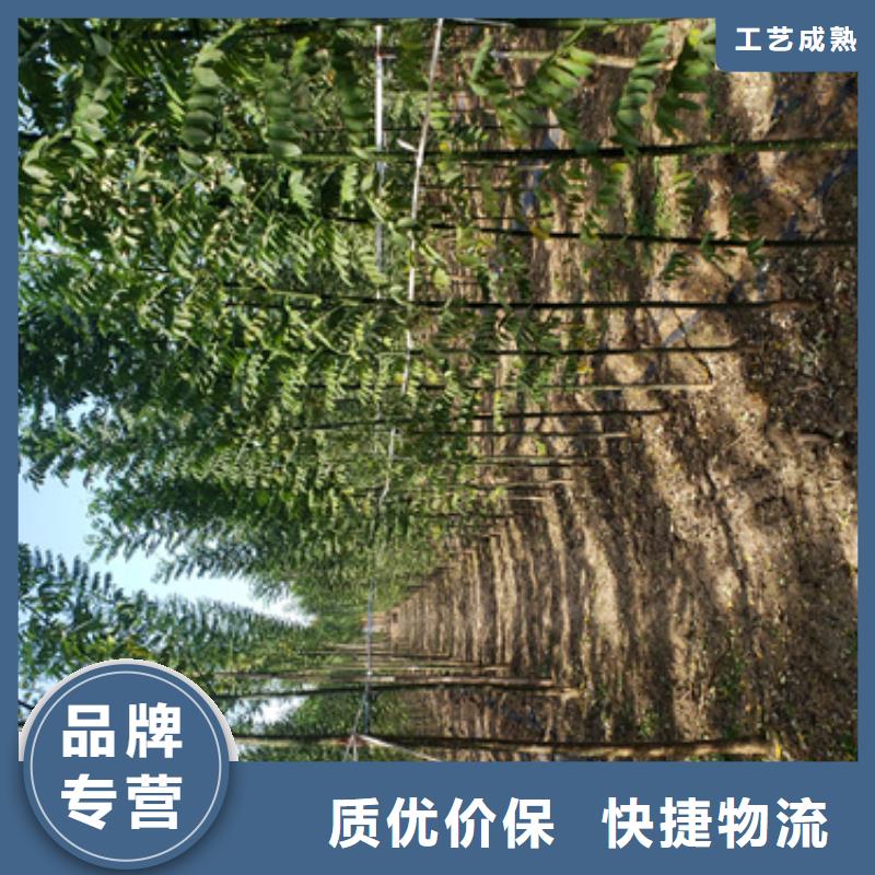 法桐本地配送
