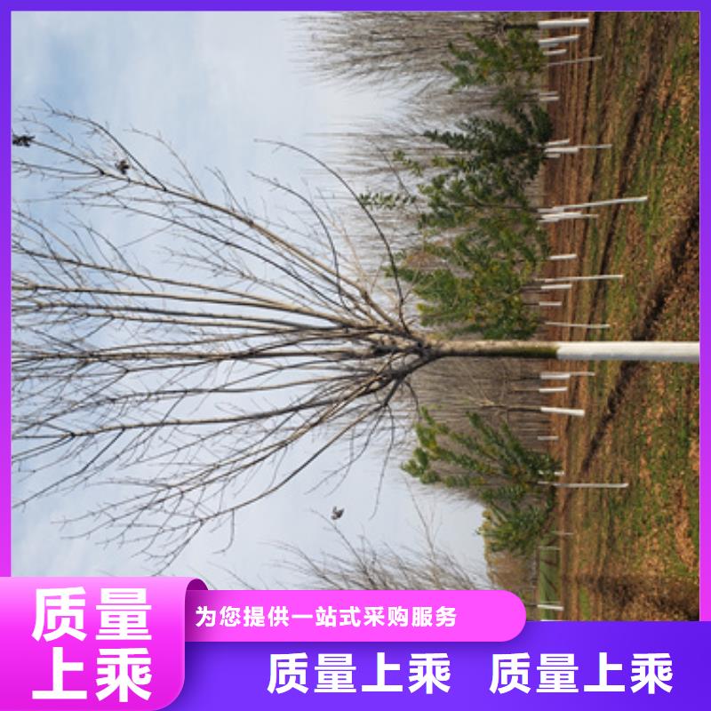 法桐物流配送