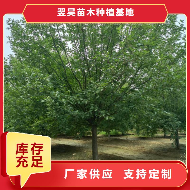 優(yōu)選：法桐品牌廠家