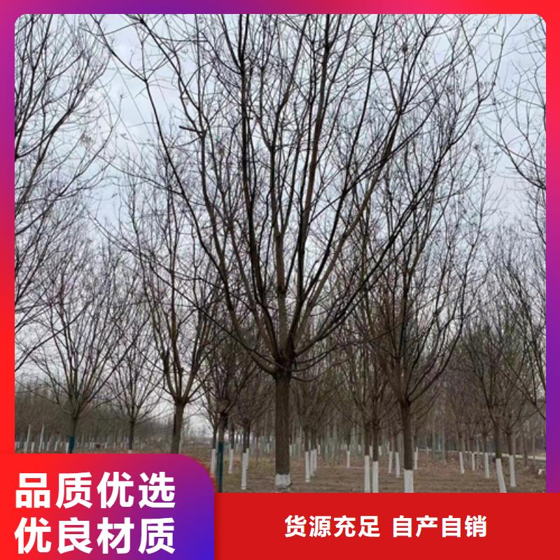 五角枫视频-安徽省淮南市翌昊五角枫可服务区域田家庵|凤台|蚌埠|合肥|巢湖|滁州|宿州|池州等