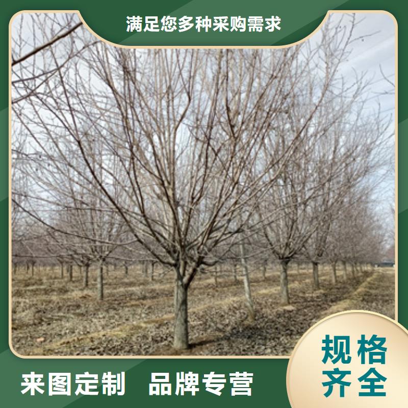 法桐誠信經營現貨現發