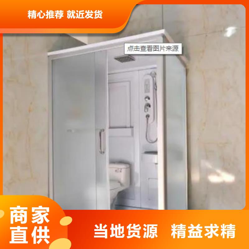 整體式廁所