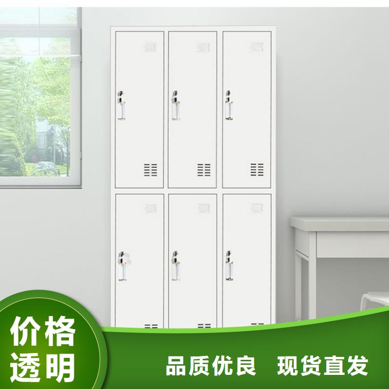 更衣柜移动档案密集架  现货实拍