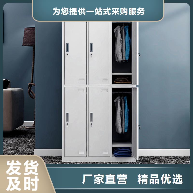 更衣柜移动档案密集架  现货实拍