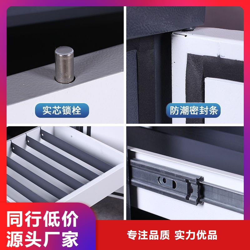 防磁柜手動密集架專業(yè)信賴廠家