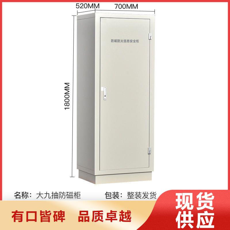 防磁柜檔案室資料柜自有生產(chǎn)工廠