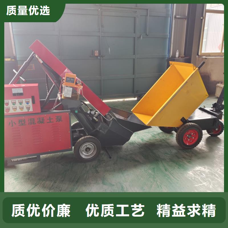 二次構(gòu)造柱泵小型水泥上料機(jī)專注細(xì)節(jié)專注品質(zhì)
