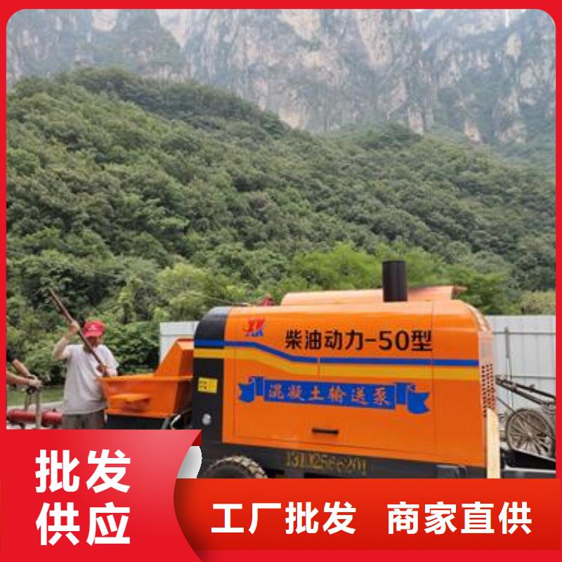 北戴河斜式15型二次構(gòu)造柱泵