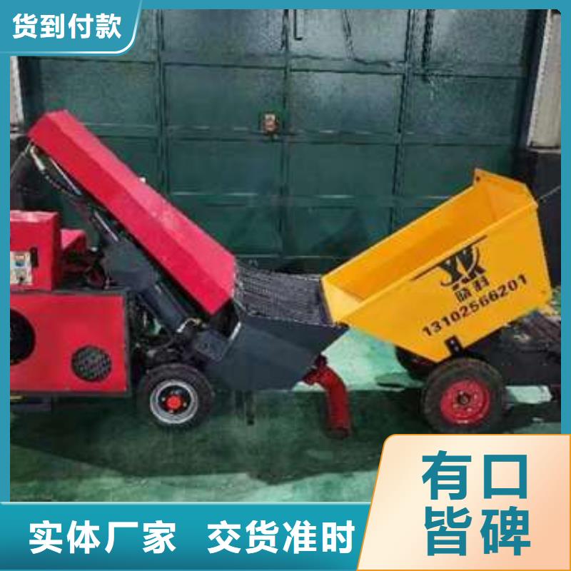 混凝土輸送泵二次結構泵