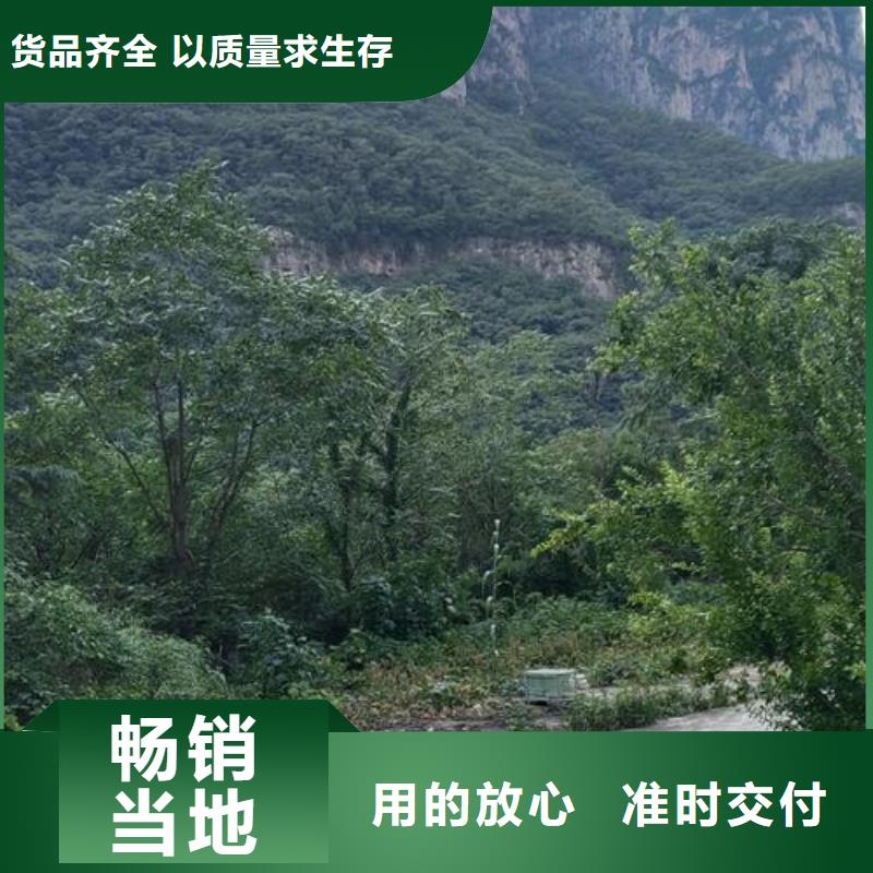 小型混凝土輸送泵價位