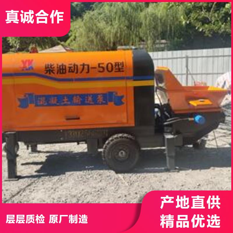 小型細石輸送泵可定制