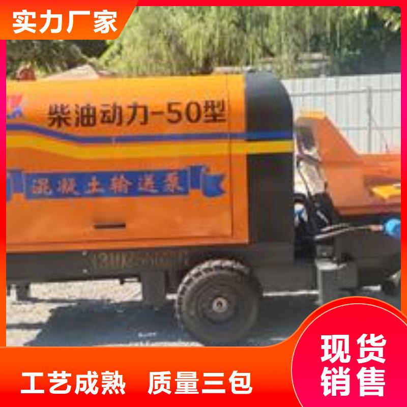 小型混凝土泵_二次构造柱泵专业完善售后