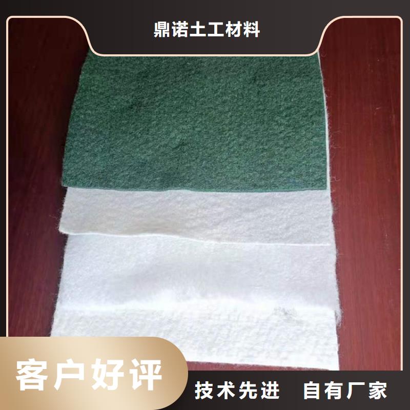 土工布-一布一膜防水土工布