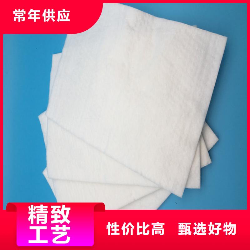 土工布拉筋帶實力公司