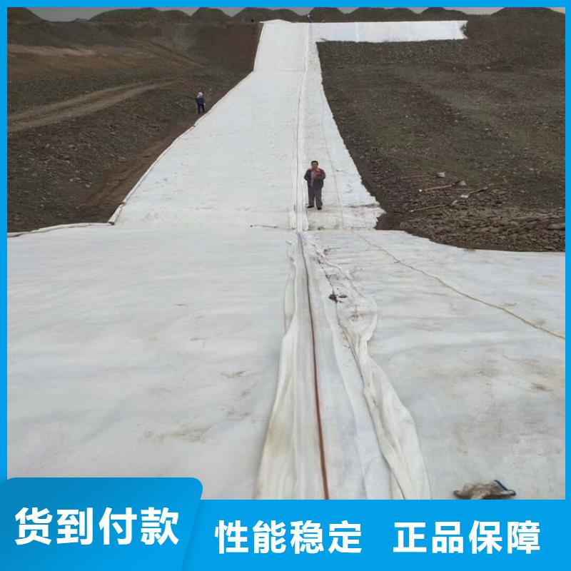 450g土工布-反濾隔離土工布