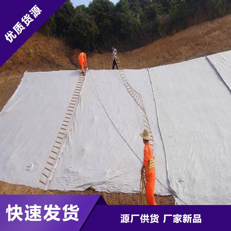 土工布經銷_反濾土工布_450g土工布