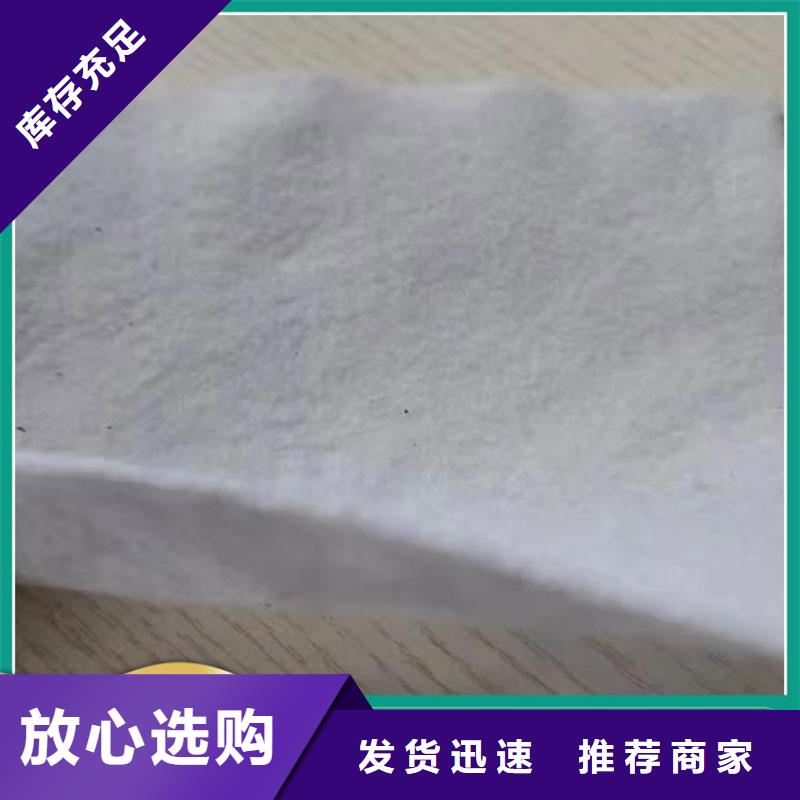 土工布_雙向土工格柵多種規格可選