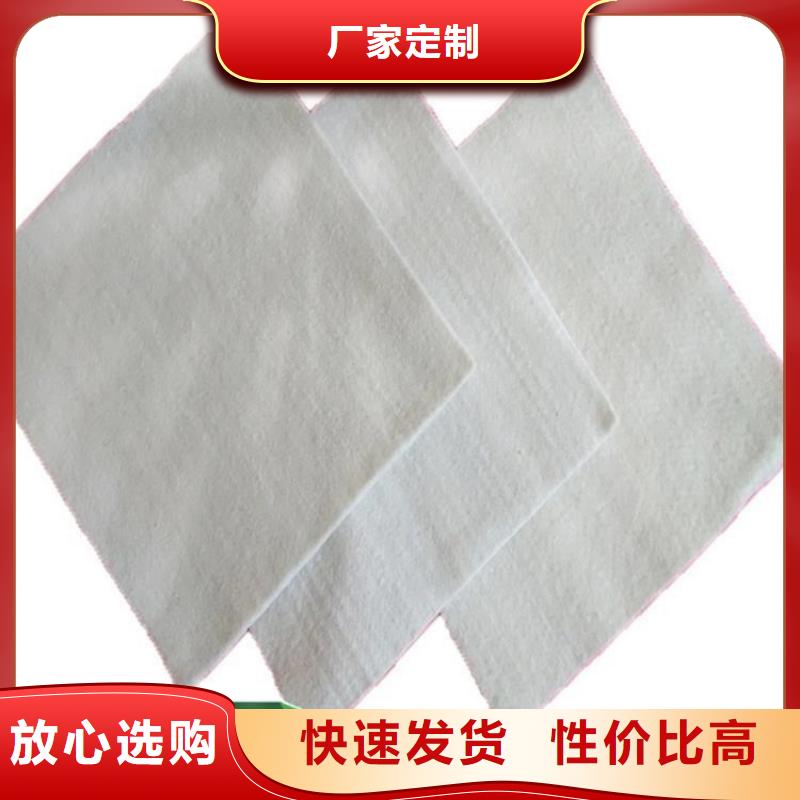 土工布經銷_反濾土工布_450g土工布