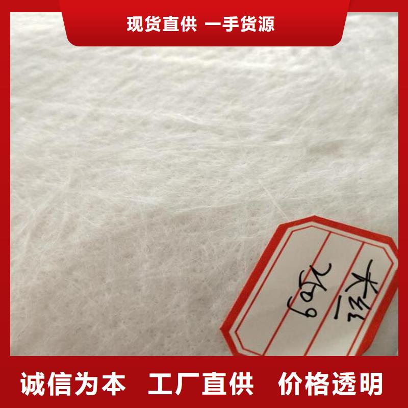 濾水無紡針刺土工布