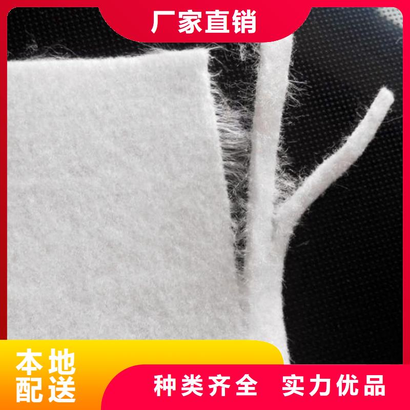透水土工布-河道堤壩土工布