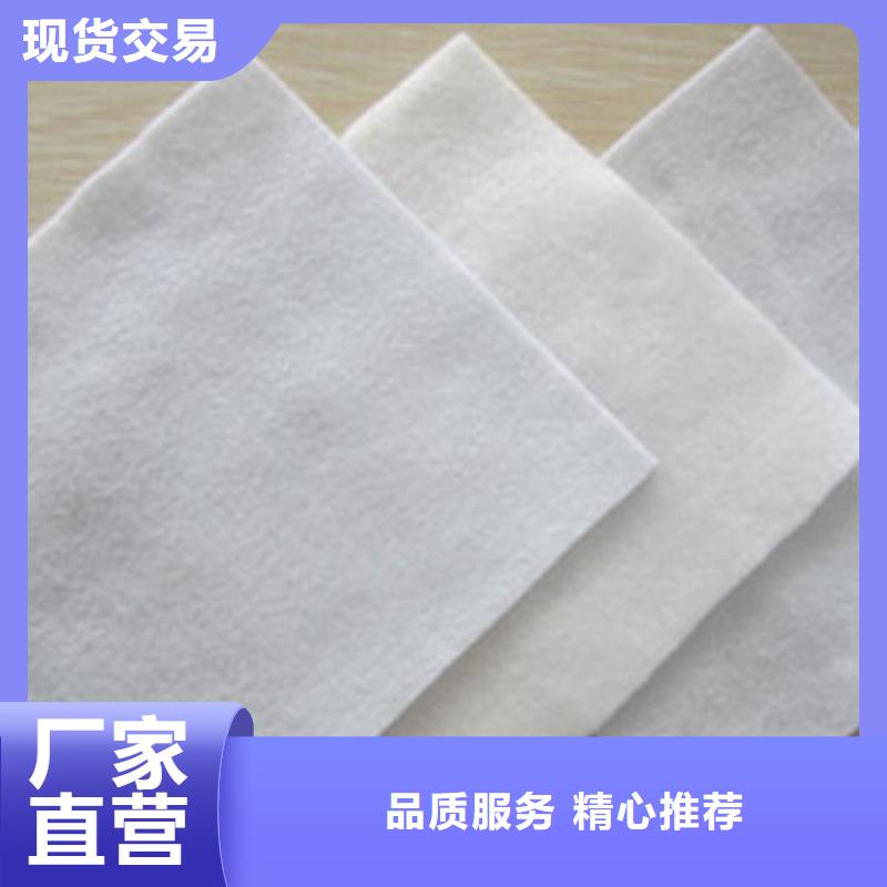 土工格栅视频-四川省遂宁市鼎诺土工格栅可服务区域射洪|船山|资阳|宜宾|泸州|眉山等