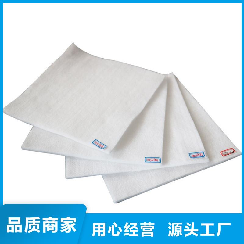 復(fù)合土工布