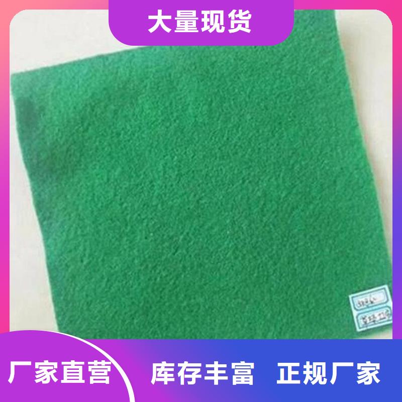 滌綸土工布-排水板土工布