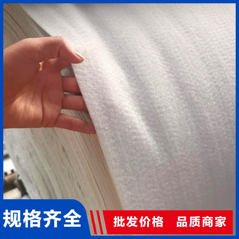 土工布玻纖格柵敢與同行比服務