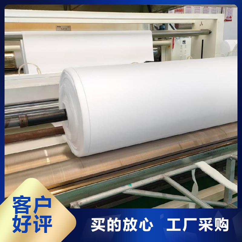屯昌縣防滲土工布