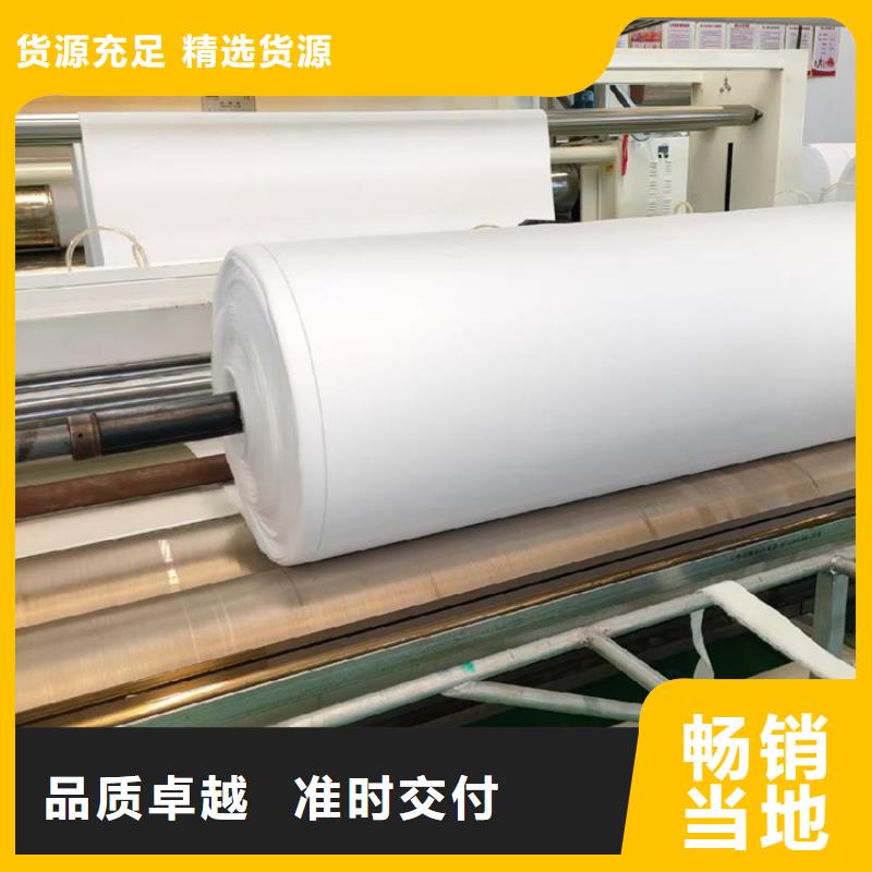 土工布拉筋帶實力公司