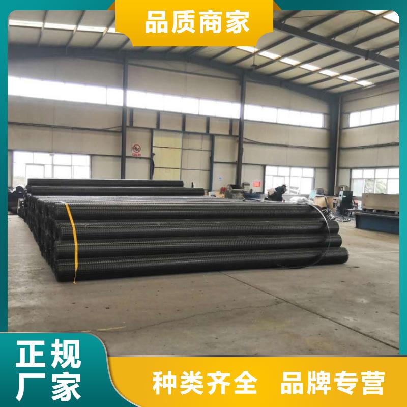 塑料土工格柵價格詳情
